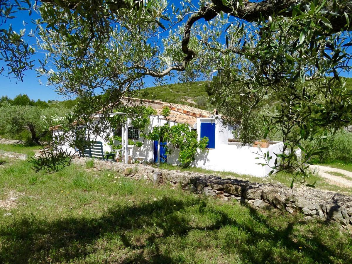 Willa Casita Blanca El Perelló Zewnętrze zdjęcie